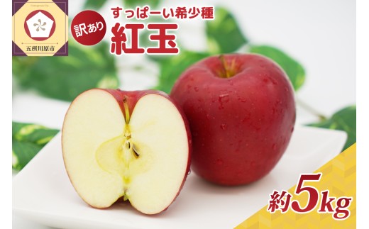紅玉 5kg程度 紅玉リンゴ 訳あり 青森 | タルトタタン に最適 不揃い りんご