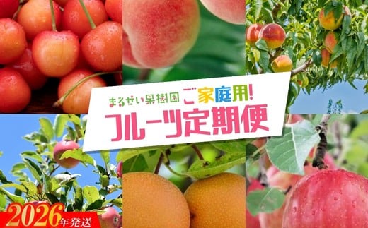 
            No.2945 まるせい果樹園　ご家庭用6回定期便【2026年発送 先行予約】
          