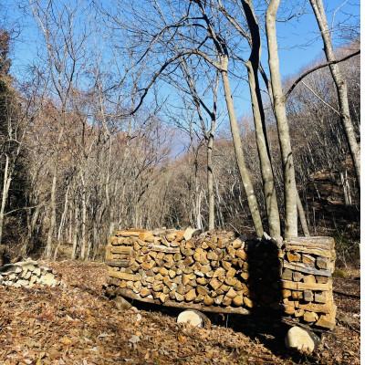 ふるさと納税 御代田町 林業芸術社 乾燥薪(広葉樹約22cm /約50kg分/中割り〜)【複数個口で配送】 |  | 01