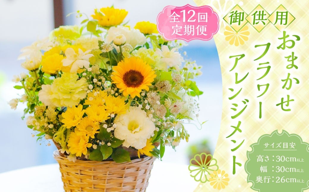 
                  【全12回定期便】 御供用 おまかせ フラワーアレンジメント ／ 大輪菊 小菊 白菊 小菊 お花 花 お供え お盆 法事 四十九日 仏花 仏事 長崎
                