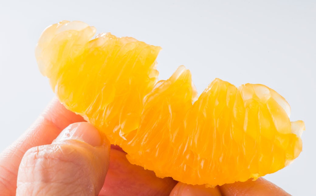 熊本県産 デコポン 5kg