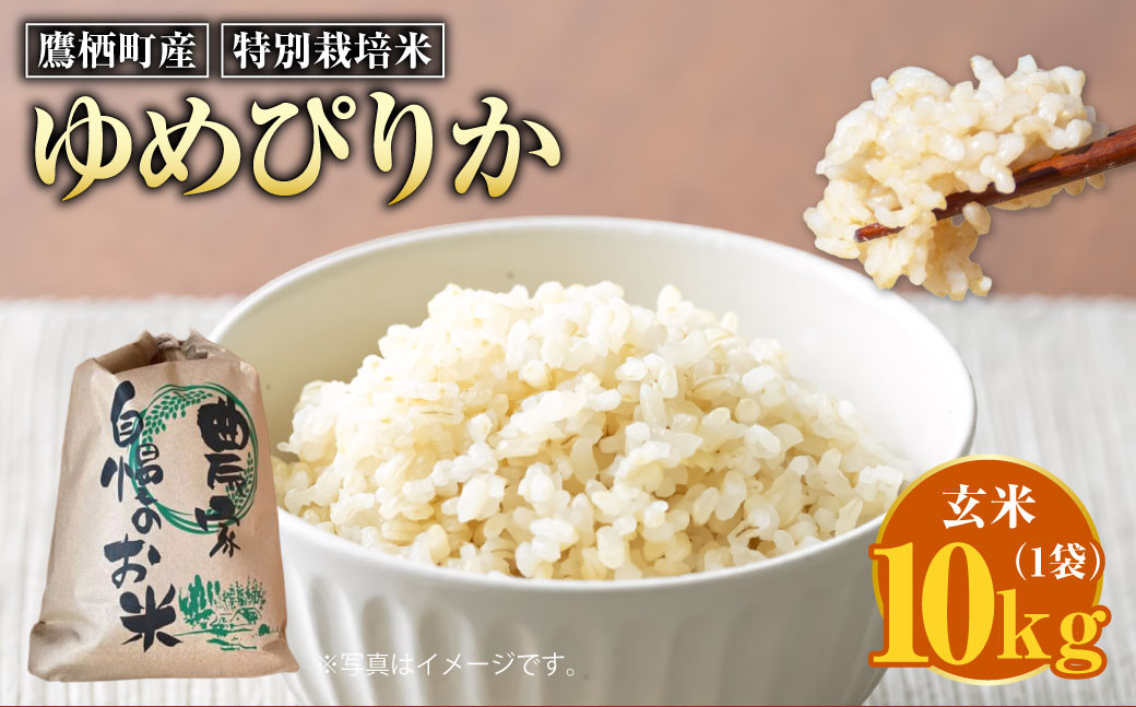 
                  【令和8年産】 ゆめぴりか （玄米） 10kg 北海道 鷹栖町 たかすのおむすび 米 コメ ご飯 玄米 お米 【2026年9月下旬発送予定】
                