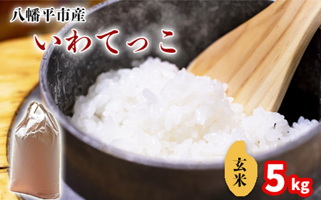 【令和7年産】 新米 11月中旬発送開始予定 いわてっこ 玄米 5kg ／ 中沢農産 こめ 米 コメ お米 おこめ ご飯 ごはん げんまい おにぎり お弁当 仕送り お取り寄せ 産地直送 農家直送 単一原料米 国産 国産米 東北 岩手県産 八幡平市産 おすすめ