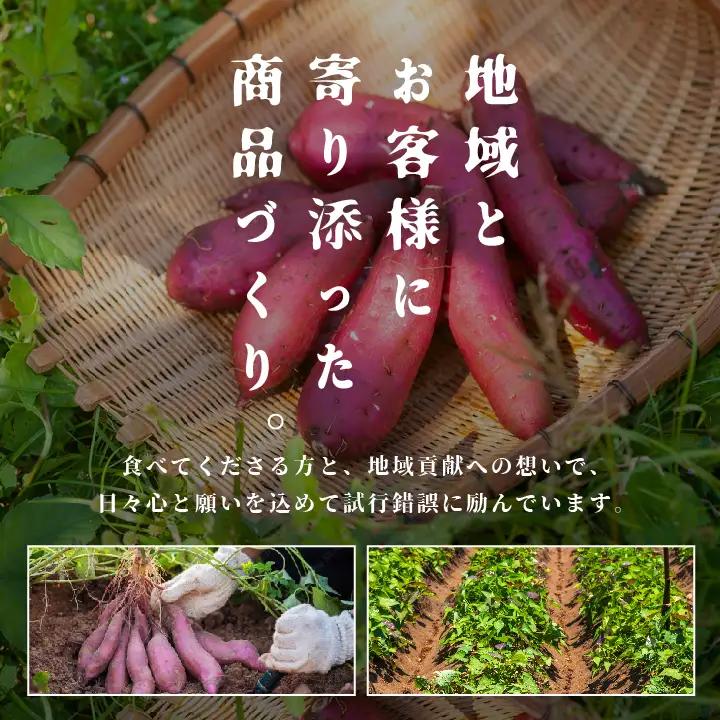 さつまいも 紅はるか 5kg ｜さつまいも【株式会社橋本】