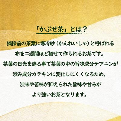 ふるさと納税 佐世保市 【発送月固定定期便】世知原茶 青々しい薫りと旨みの上かぶせ〈佐世保がじら〉全4回 |  | 02