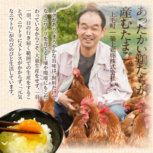 放し飼いたまご『かぐやひめ』70個【福岡上毛町産】_C00801