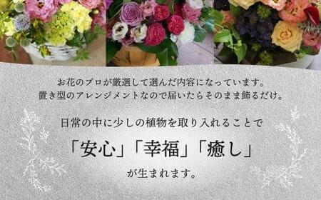 翌月より発送開始 プレミアムコースお花の定期便 ・ デザインアレンジメント ・ カゴ付き(毎月１回)6カ月間 アレンジメント フラワーアレンジメント 季節の花 生花 花 定期便 TR4476