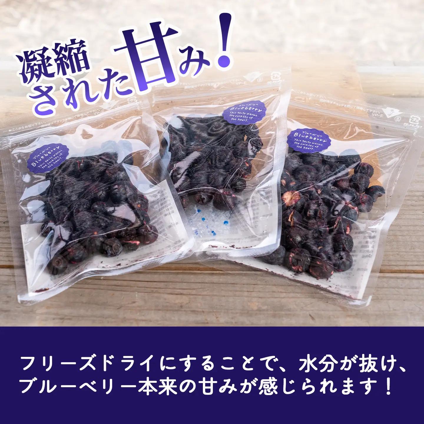 トムのぱくぱくフリーズドライブルーベリー 8g×12袋 ベリー
