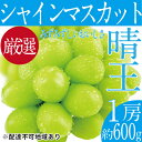 【ふるさと納税】ぶどう 2025年 先行予約 シャイン マスカット 晴王 1房 約600g ブドウ 葡萄 岡山県産 国産 フルーツ 果物 ギフト　玉野市　お届け：2025年9月中旬～2025年10月下旬