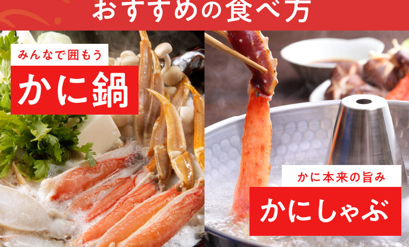 【年内発送】本ずわいがに 爪肉 約500g 加熱用 G1815y_イメージ4