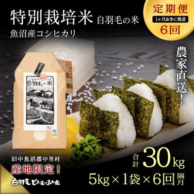 ふるさと納税 十日町市 【2ヵ月毎定期便】農家直送!魚沼産コシヒカリ特別栽培 精米(5kg×1袋)全6回