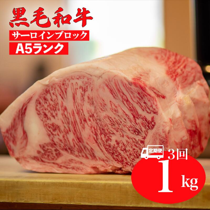 【ふるさと納税】【3回定期便】黒毛和牛 A5ランク サーロインブロック 1kg 国産 牛肉 和牛 サーロイン ステーキ ブロック肉 厚切り 焼肉 BBQ バーベキュー 冷蔵 チルド 高級肉 霜降り 大容量 お取り寄せ グルメ ギフト 贈答用 お中元 夏ギフト 記念日 人気 送料無料