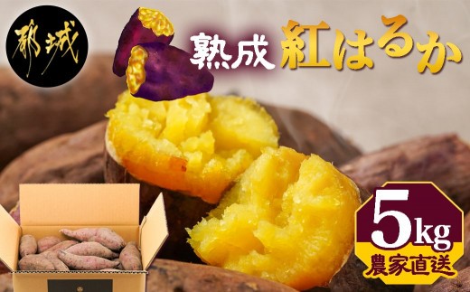 
                  【農家直送】山下農園　熟成紅はるか 5kg_LD-I704_(都城市) 紅はるか 5kg 山下農園 さつまいも 
                