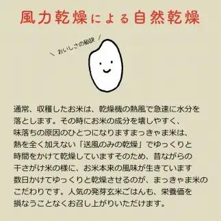 令和7年度産 【特別栽培米】 石川県産 こしひかり 棚田米 【白米】 5kg まっきゃま米