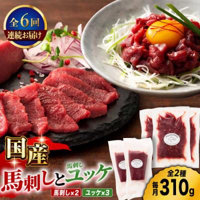 ふるさと納税 山鹿市 【毎月定期便】国産馬刺し と ユッケ のセット全6回