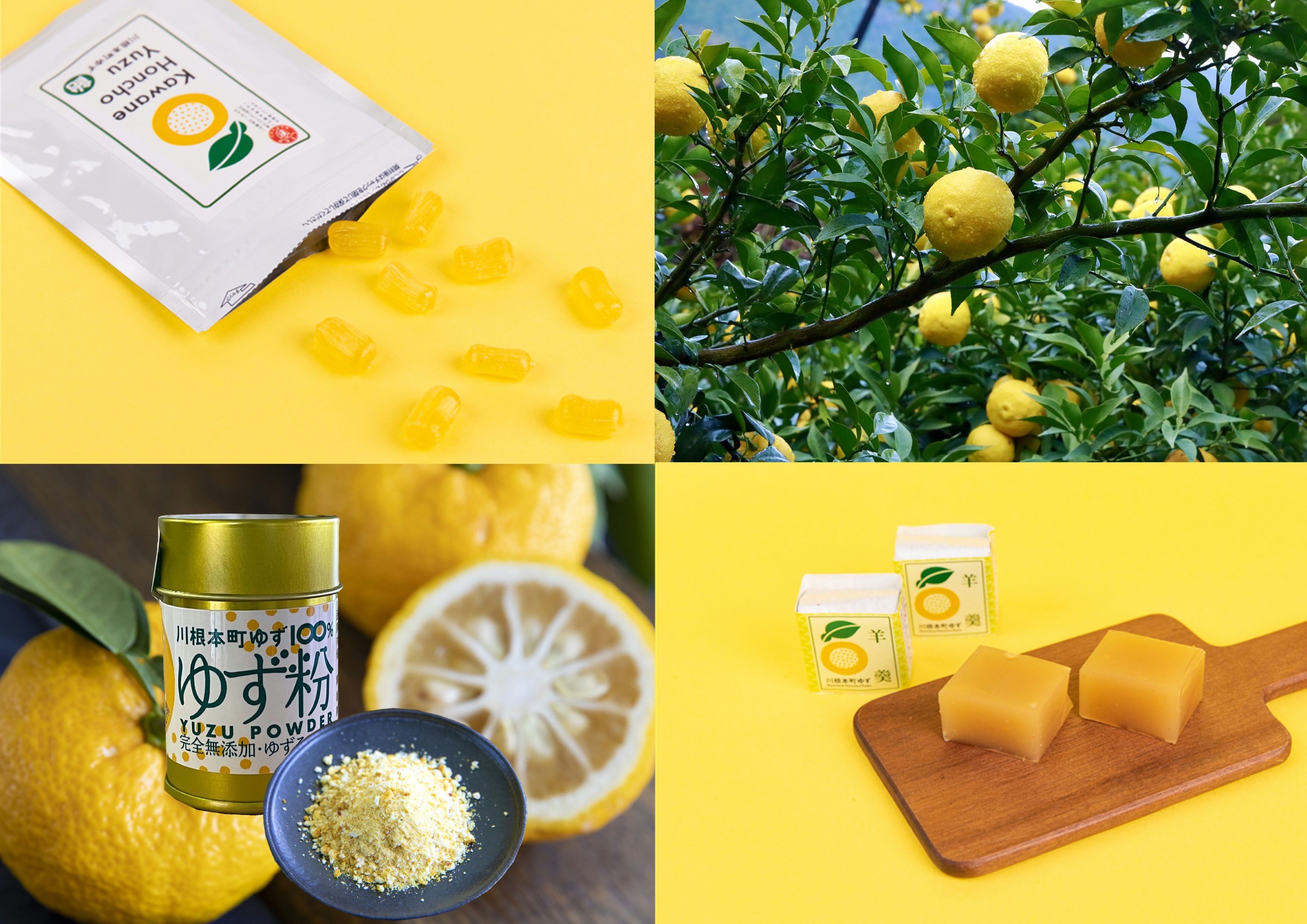 
            6-2 ゆず ゆず粉 ゆず飴 ゆず羊羹 / 川根本町香り高いゆずセットB
          