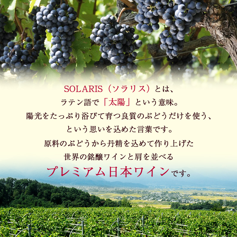 ソラリス ラ・クロワ ワイン 赤ワイン 受賞歴多数あり お酒 酒 アルコール 信州 長野