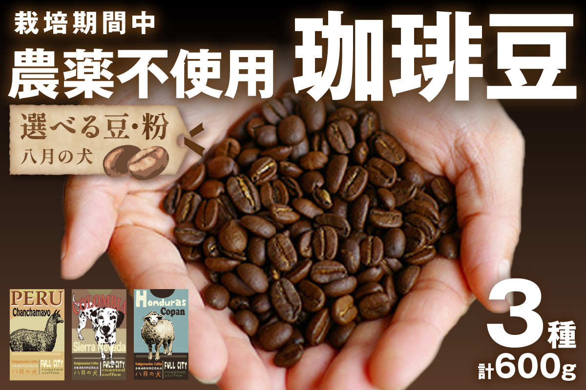 【栽培期間中農薬不使用】自家焙煎コーヒー豆　お試しセット（200gx3種）八月の犬　珈琲豆　ドリップ　飲み比べ　ブホペ