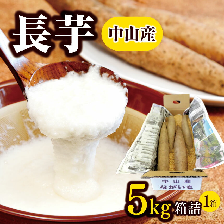 【ふるさと納税】【先行予約】長芋 中山産 ( 5kg × 1箱 ) ｜ ふるさと納税 ながいも 長野県 松本市 芋 いも