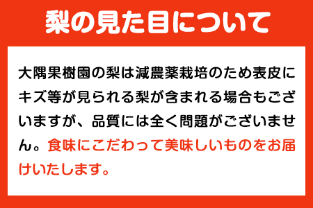 【先行予約】大隅果樹園の玉東梨(旬の品種をお届けします) 約5kg(13-20玉前後) 予約受付中 フルーツ 秋 旬 熊本県玉名郡玉東町 《7月下旬-9月上旬頃出荷》