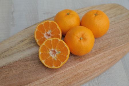 S040-012A_訳あり 農家の手摘み 太田 ポンカン10kg〈先行受付〉