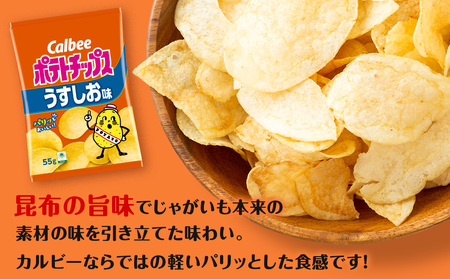 【定期便4カ月】カルビーポテトチップス＜うすしお＞16袋入×1箱《千歳工場製造》