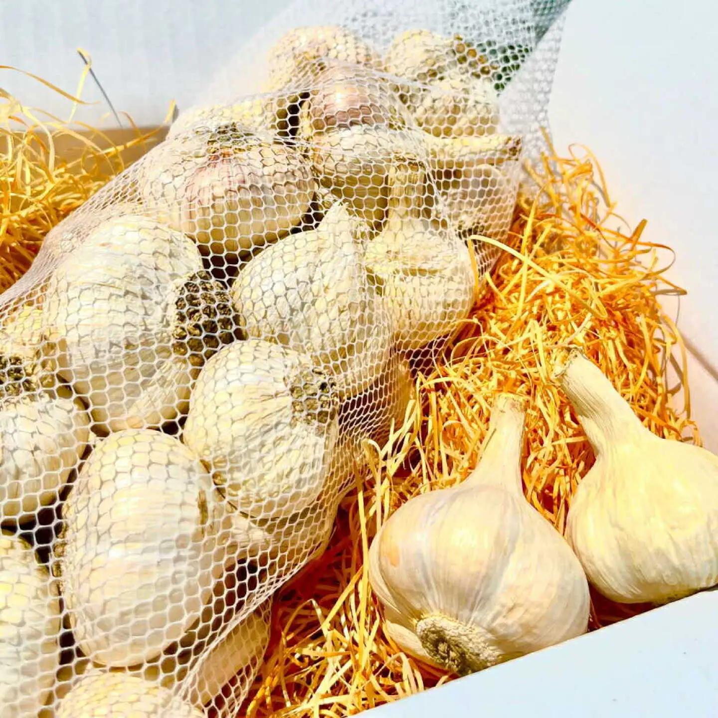 植田ファームの自然乾燥平戸にんにく700g 〈2026年6月10日〜2026年10月31日〉 高知県 土佐市【株式会社植田ファーム】[BQAT004]