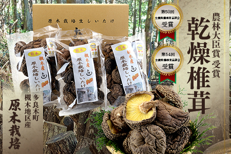 【お中元ギフト】	槻木産 中葉厚肉 乾燥椎茸 計300g (100g×3袋)  026-0573-c