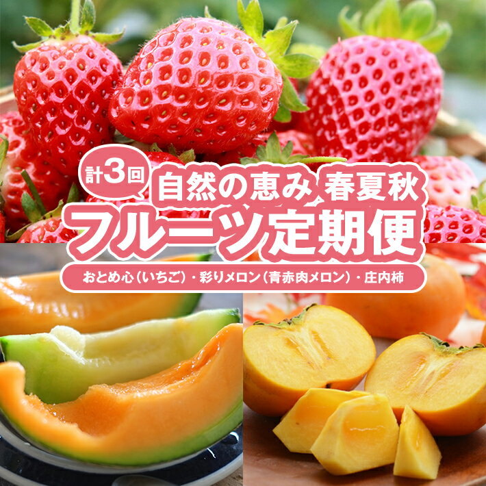 【ふるさと納税】≪3回定期便≫ 自然の恵み 春・夏・秋フルーツ定期便(2)2026 4月下旬〜5月下旬「おとめ心(いちご)」 7月上旬～7月下旬「彩りメロン(青肉・赤肉)」 10月中旬〜11月下旬「庄内柿」 計3回 山形県酒田産 ※着日指定・離島発送不可 頒布会 イチゴ カキ 春 夏 秋