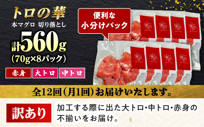 【全12回定期便】訳あり！対馬産 本マグロ 切り落とし 560g（8パック） ≪対馬市≫【桐谷商店】 トロの華 冷凍 新鮮 海鮮 小分け マグロ [WAQ034]