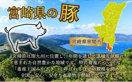＜2026年4月発送分＞宮崎県産豚バラエティー3.1kgセット