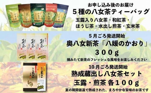 日本茶の名産地 「八女」からお届け ２０２３年新茶が届く 八女茶定期便【全３回】
