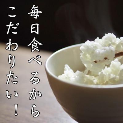 ふるさと納税 福知山市 精米コシヒカリ30kg 京都産 |  | 02