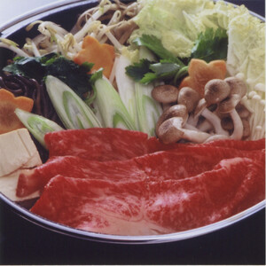 鳥取黒毛和牛ロースすき焼き用(380g) 【鳥取県 境港市】