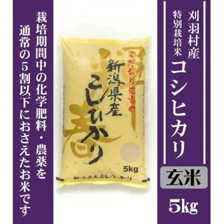 【新潟特別栽培米】【玄米】刈羽村産コシヒカリ 5kg【1576367】