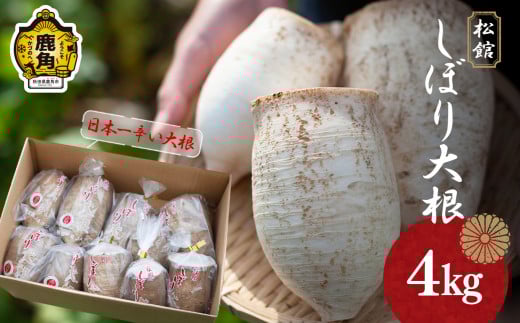 秋田県鹿角市八幡平産 松館しぼり大根 4kg（ 13～18個 ）【TR farm】 ●2025年11月上旬発送開始 薬味大根 GI 地理的表示登録 薬味 大根 ダイコン 野菜 地大根 伝統野菜 日本一 辛い 大根おろし ギフト お中元 お歳暮 ふるさと 返礼品 鹿角市 秋田 送料無料