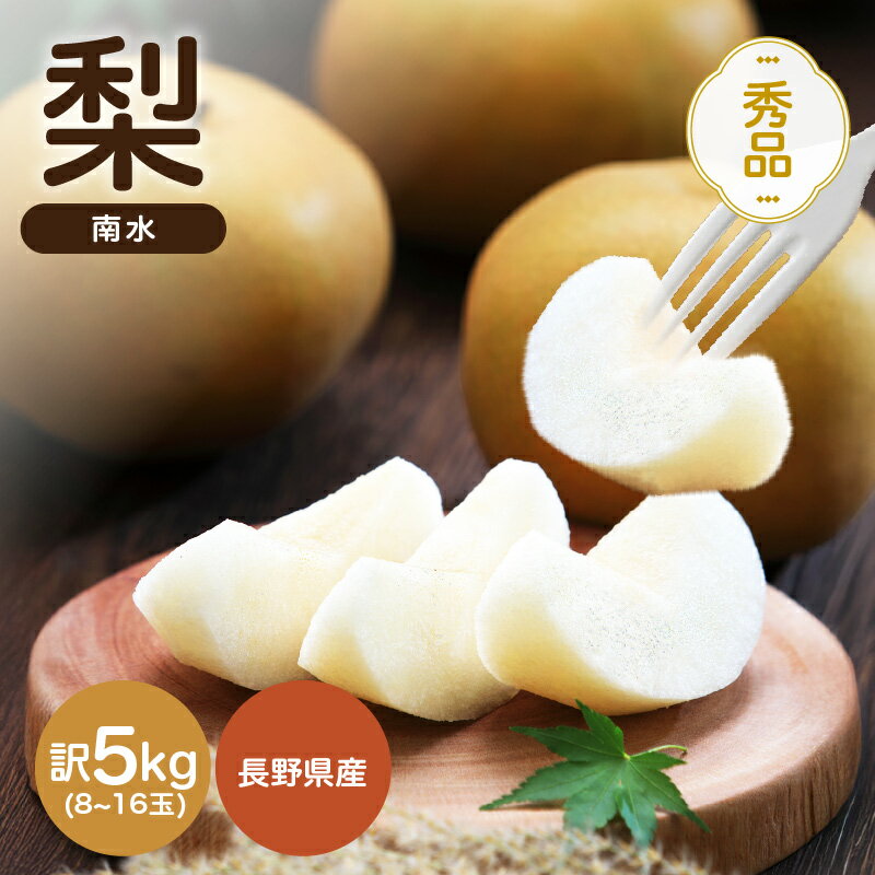 【ふるさと納税】【2026年先行予約】 南信州産 南水 梨 秀品 約5kg 8〜16玉 | 南水 ナシ 梨 なし 果物 フルーツ 信州 南信州 送料無料 ふるさと納税 長野県 飯田市 K23