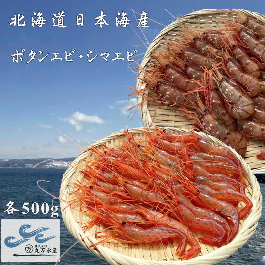 【ふるさと納税】7-022-004　冷凍ボタンエビ・しまえびセット 各500g　海老・エビ・海老・ぼたんエビ・海老・エビ　お届け：入金確認後、1週間～1ヶ月以内