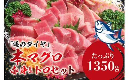 本マグロ（養殖）トロ＆赤身セット 1350g 【8月発送】【配達日指定不可】高級 クロマグロ  中トロ 中とろ まぐろ マグロ 鮪 刺身 赤身 柵 じゃばらまぐろ 本マグロ 本鮪【nks111B-8】