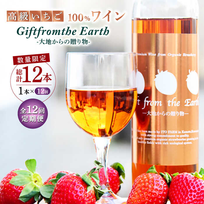 【ふるさと納税】【12回定期便】【数量限定】高級 いちご 100％ワイン Giftfromthe Earth -大地からの贈り物- オーガニック【伊藤農園】[ZBB020] フルーツワイン いちごワイン 1本 果実酒 甘口 香り 口当たり 地元産 限定 芳醇 完熟 有機栽培 アルコール 度数 7% 飲みやすい