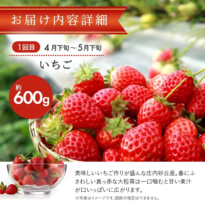 SE0330　【3回定期便】おいしい酒田 マルっとお届け便2025(2) 4月下旬～ (いちご、紅花メロン、刈屋梨)