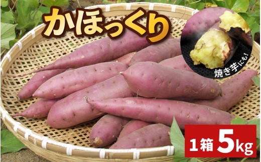 【先行予約】かほっくり 5kg （1箱）さつまいも【2027年1月下旬より順次発送】 |  芋 5キロ 甘い ホクホク 甘味 スイーツ 焼き芋 国産 さつま芋 スイートポテト 大学芋