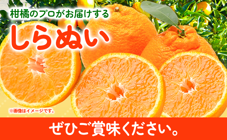 不知火 ( デコポン と同品種 ) しらぬい 約 5kg (L〜5Lサイズ) どの坂果樹園《2月中旬-4月上旬頃出荷》 和歌山県 日高川町 しらぬい 不知火 デコポン でこぽん 旬 果物 フルーツ 柑