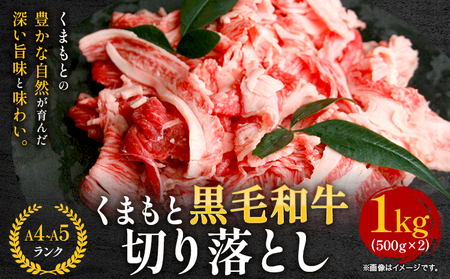 牛肉 A4～A5等級 黒毛和牛 切り落とし くまもと黒毛和牛 切り落とし 1kg 《30日以内に出荷予定(土日祝除く)》 牛肉 くまもと黒毛和牛 冷凍 Esprit
