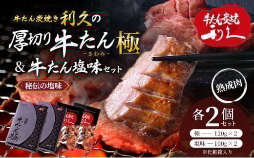 【特別寄附額】 牛タン 極 120g 塩味 100g 各2個 セット 利久 牛たん 熟成肉 タン塩 厚切り牛タン 牛 牛肉 肉 お肉 タン タン中 タン元 厚切り 焼肉 惣菜 おかず ご飯のお供 真空パック ギフト プレゼント 記念日 お土産 冷凍 冷凍配送 宮城 岩沼市
