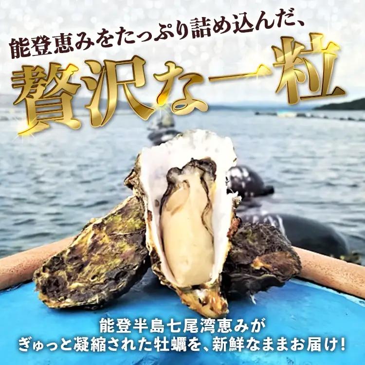 【能登半島地震復興支援】【発送時期が選べる】魚介類 牡蠣　/ 能登かき　殻付牡蠣 半缶/約5kg（約40～50個） 専用ナイフ 片手用軍手付 | 世界農業遺産「能登の里山里海」魚介類 牡蠣 訳あり 生