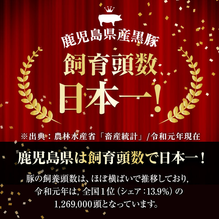 【定期便・全12回】ナンチクのお肉を楽しむ定期便！ナンチク厳選コース！ 総量8.5kg超! t0165-001