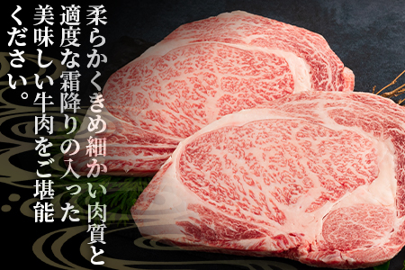 ＜宮崎牛ロースステーキ 400g（200g×2枚）＞柔らかくきめ細かい肉質と適度な霜降りの入った美味しい牛肉をご堪能下さい！【MI160-nh】【日本ハムマーケティング株式会社】