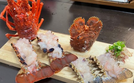 【天然】活伊勢海老１ｋｇ 海老 伊勢海老 国産伊勢海老 伊勢海老 天然伊勢海老 
