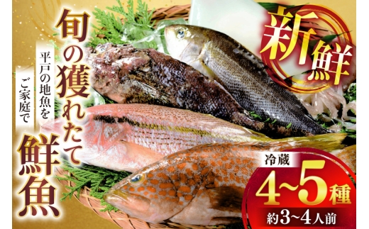 鮮魚 詰め合わせ 旬の獲れたて鮮魚 4種 ~ 5種  [ひらど新鮮市場 長崎県 平戸市 hr42bgy400116] 冷蔵 直送 鮮魚セット 鮮魚詰め合わせ 海鮮 魚介 魚介類 新鮮 魚 さかな